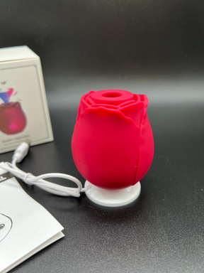 Flower Rose